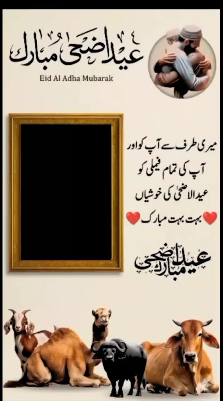@maliknadeem804