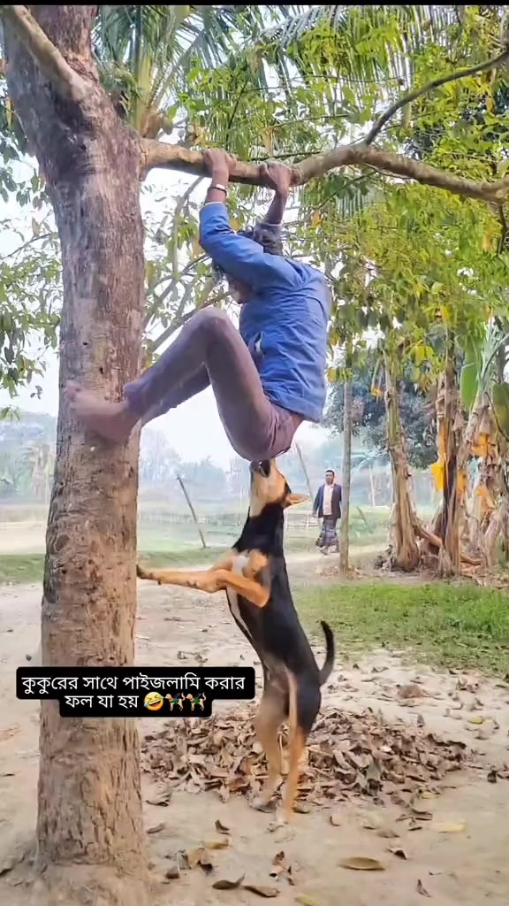 @𝔾𝕌𝔻𝔼 🌳