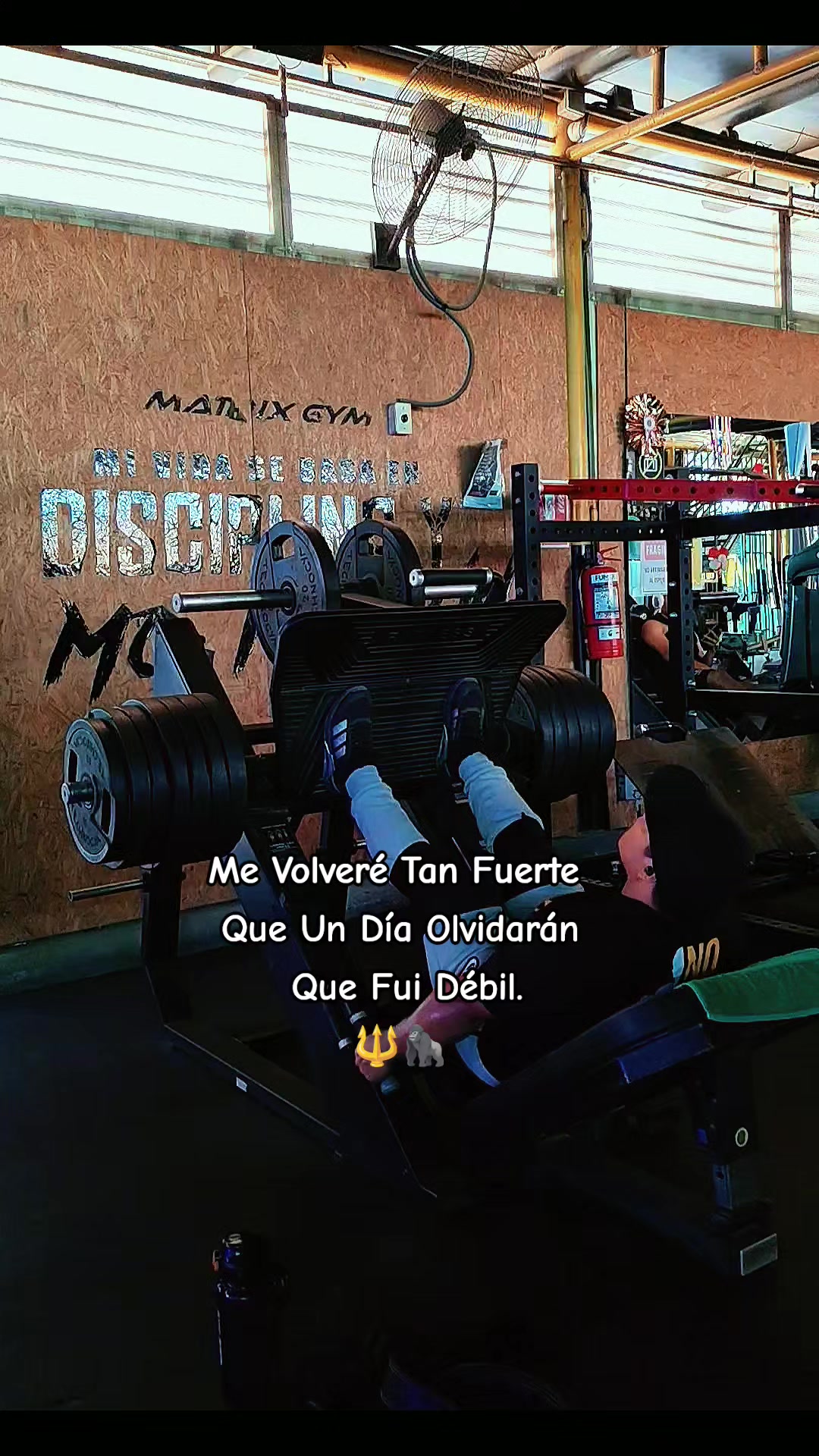 @Katriel García🔱🦍