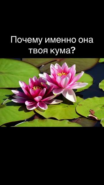 @KISA