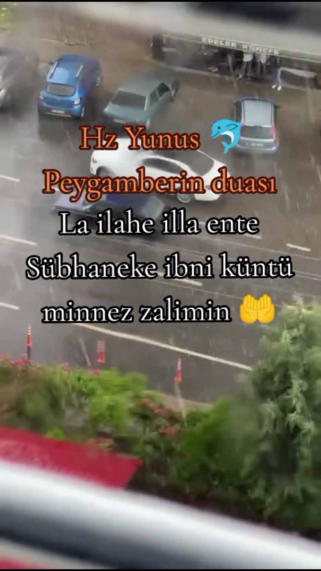 @papatyamm