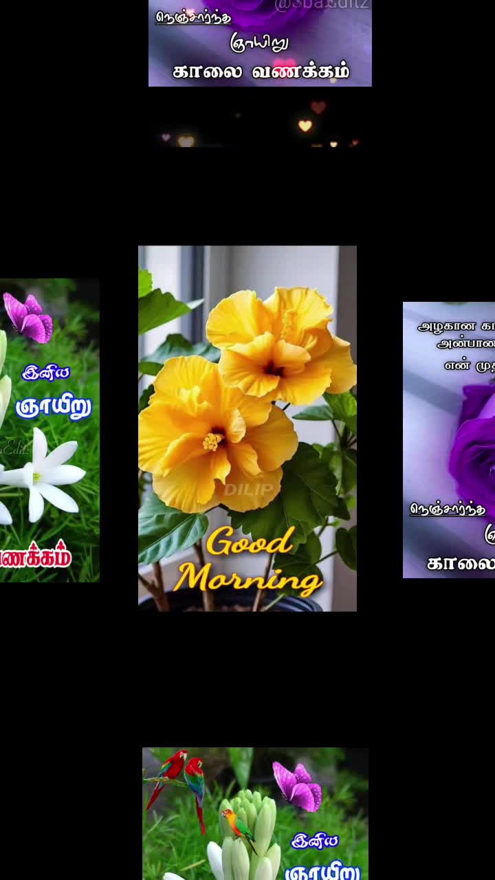 @Sai Meena