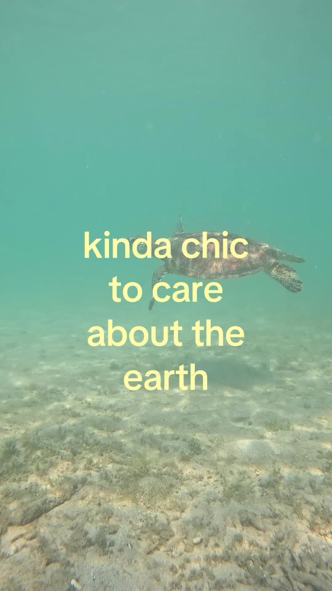 @maddy mermaid