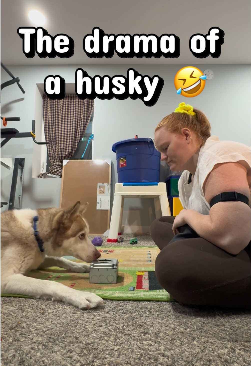 @potsiewithdogs