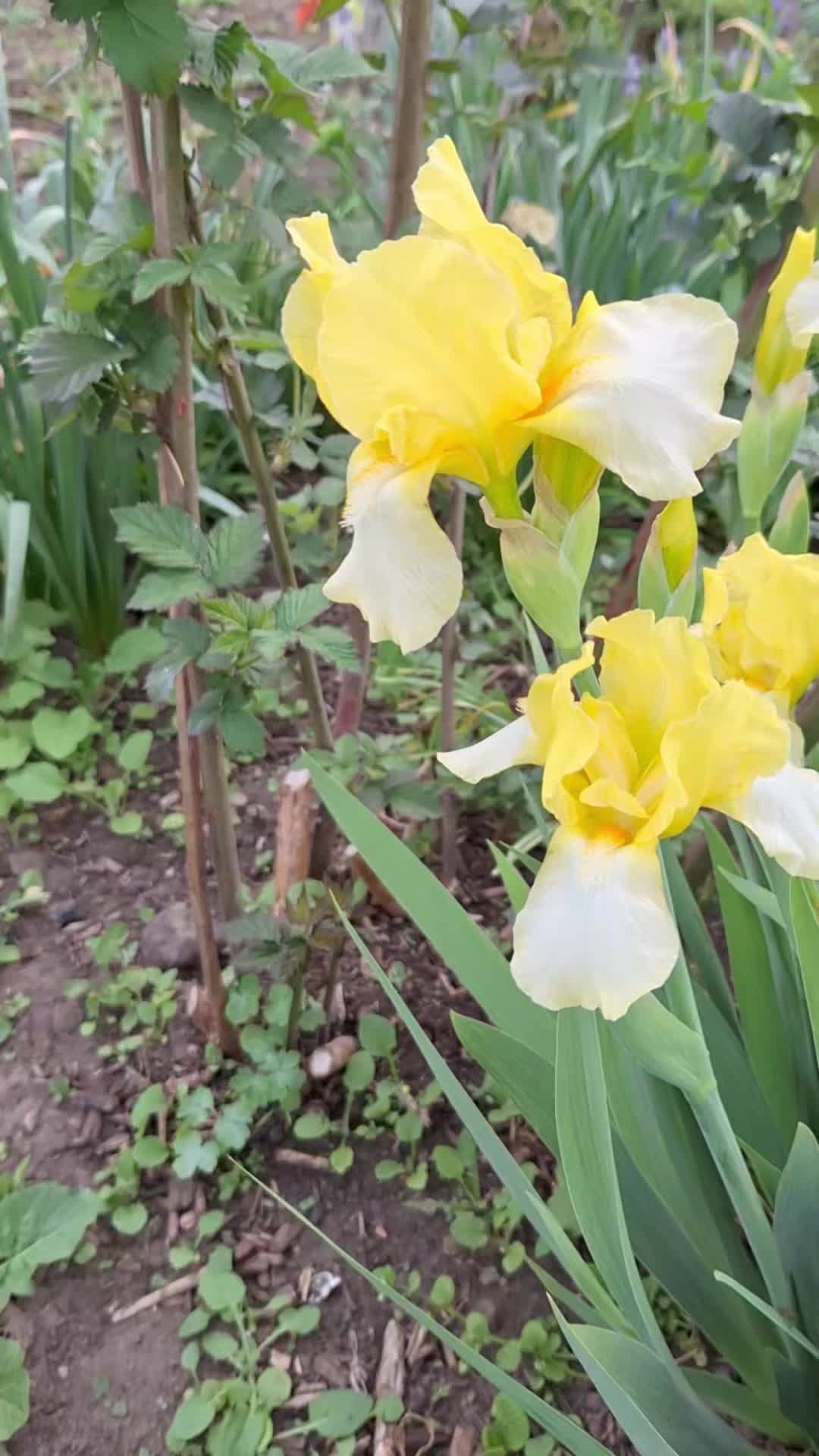 @Natur und Garten