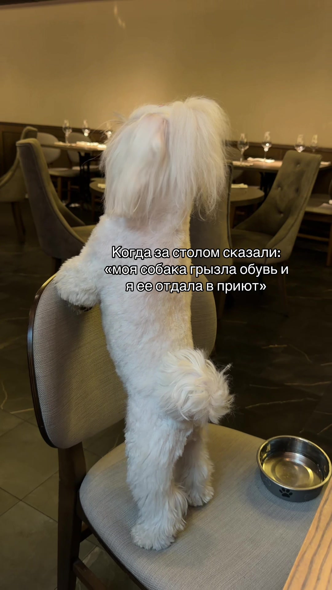 @Miss1olesya