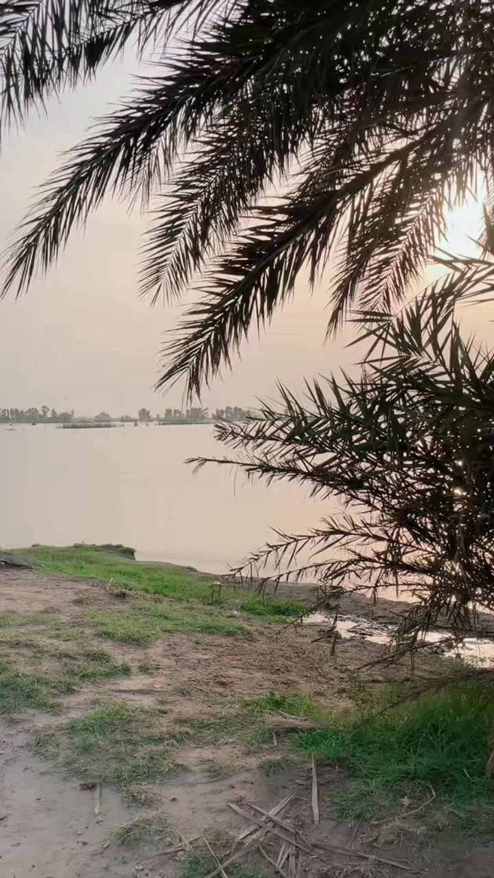 @پشتون قبیلہ ☝️🥷