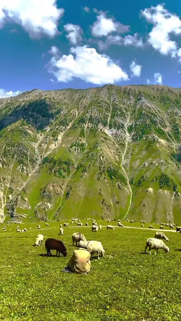 @Fahrıya_💥