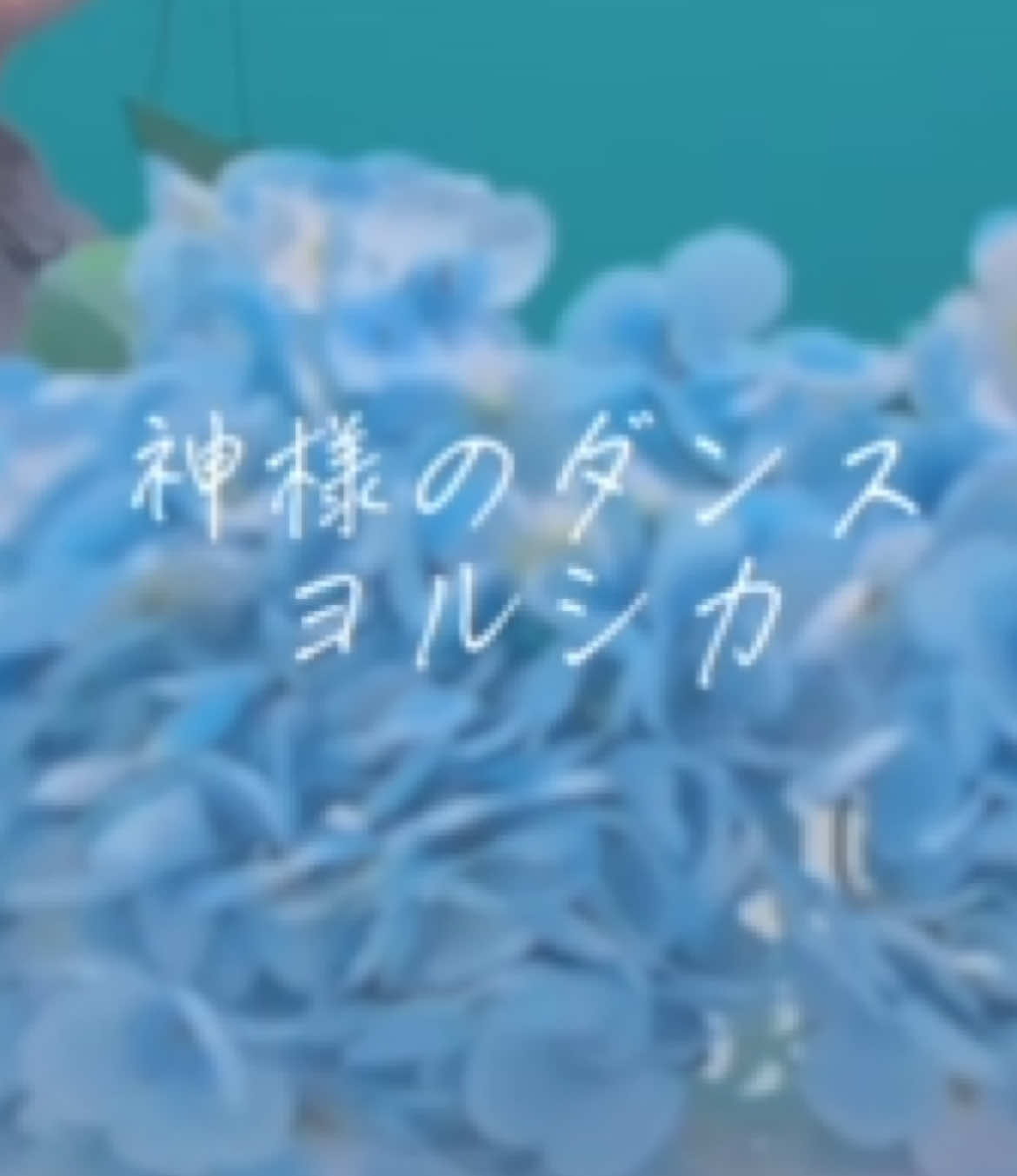 @茉寿 Makoto