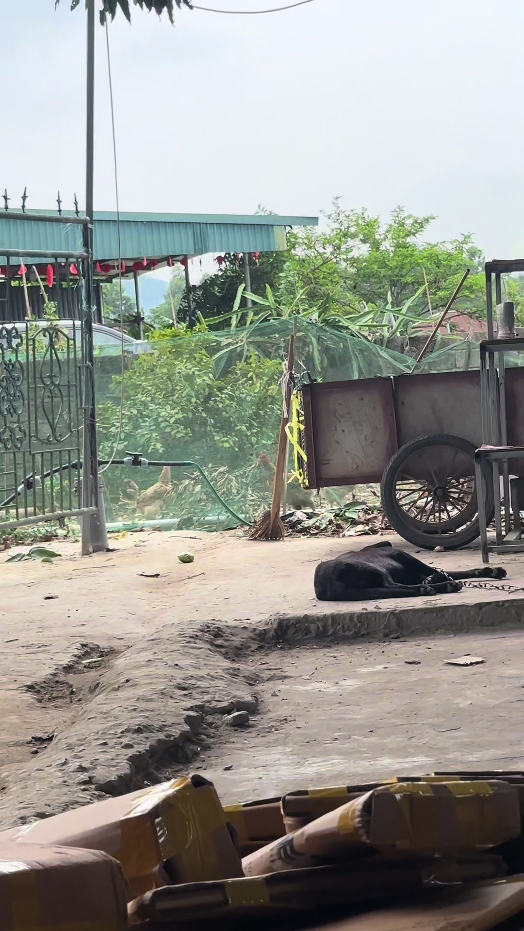 @Khi N&agrave;o Trắng Th&igrave; Đổi T&ecirc;n(Đen)