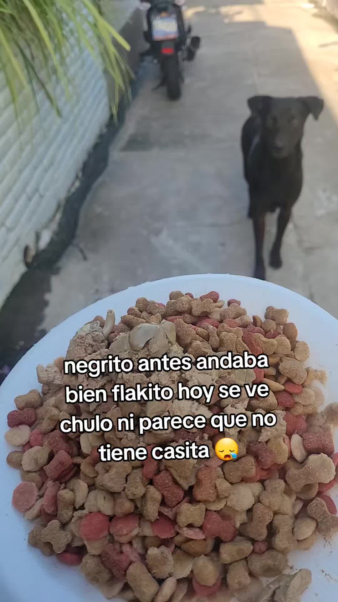 @𝕃𝕚𝕤𝕤 ℝ𝕖yes🇸🇻