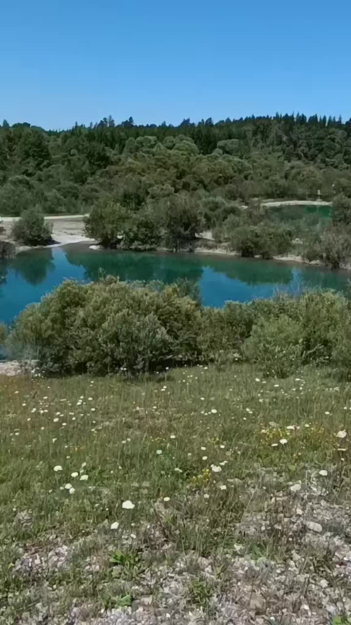@Leyla