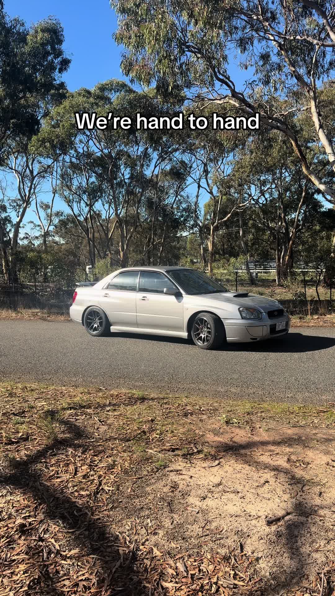 @05_rexy