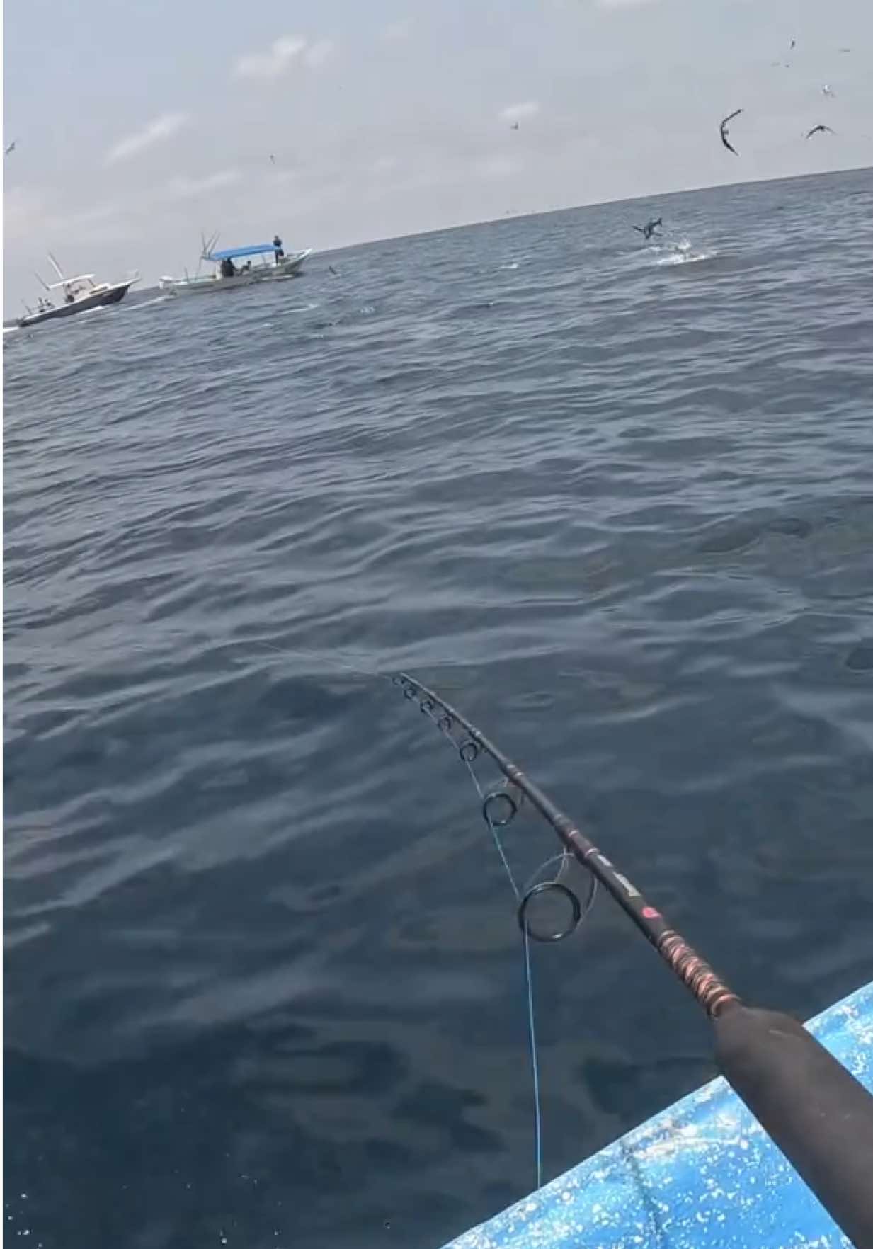 @Ranfery C. G. Sport_Fishing