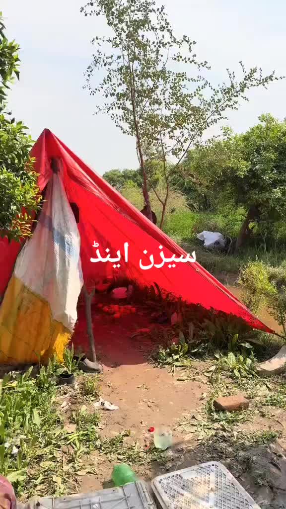 @ملک عظیم  اعوان