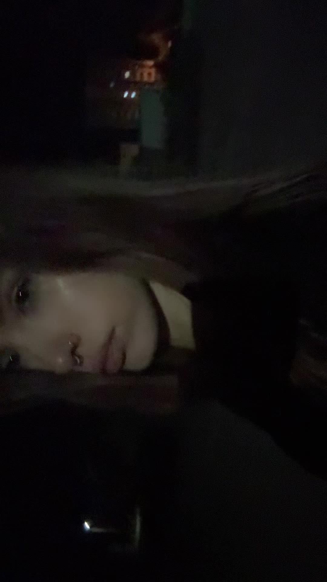 @🌻МИШЕЛЬ🌻