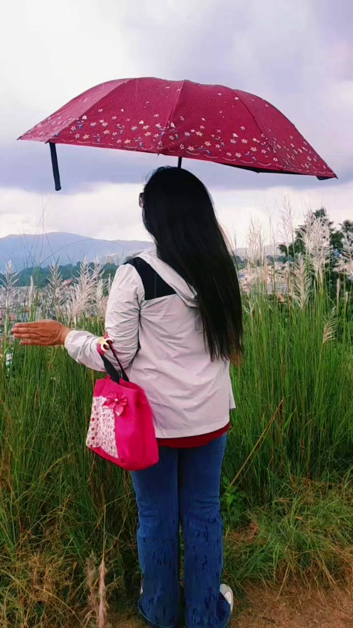 @Ambika Dangal