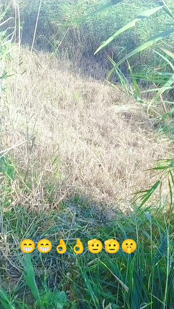 @Baxa 2005.   ➡️🌿☪️🔱