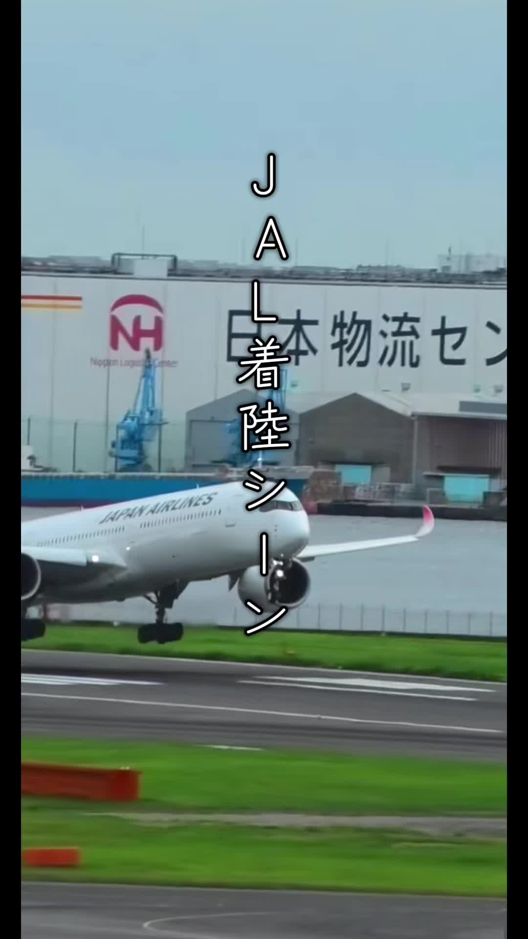 @バラ男