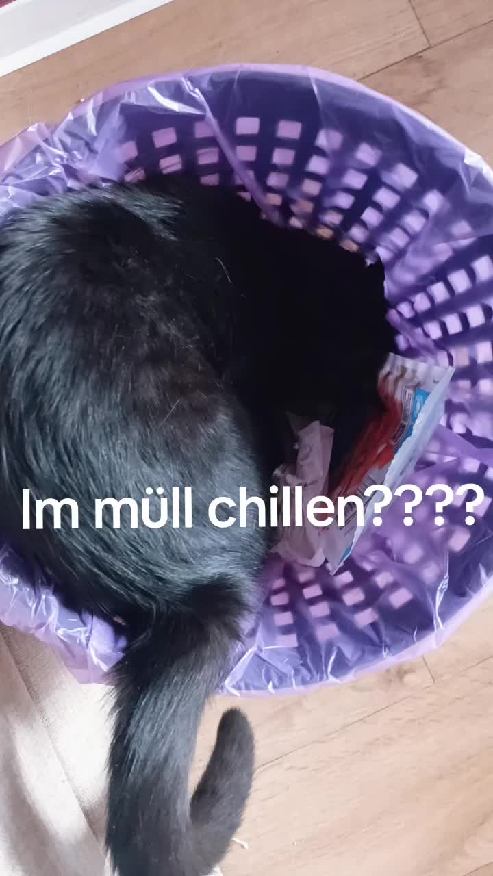 @mila_emmi✨