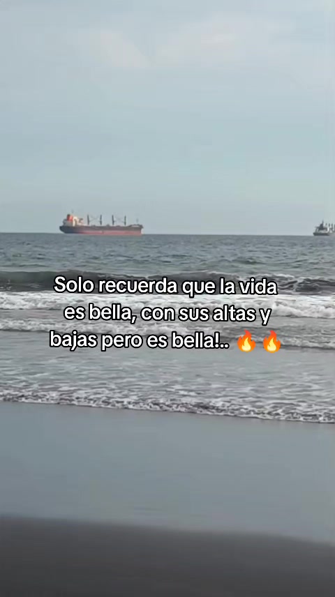 @tigre_502
