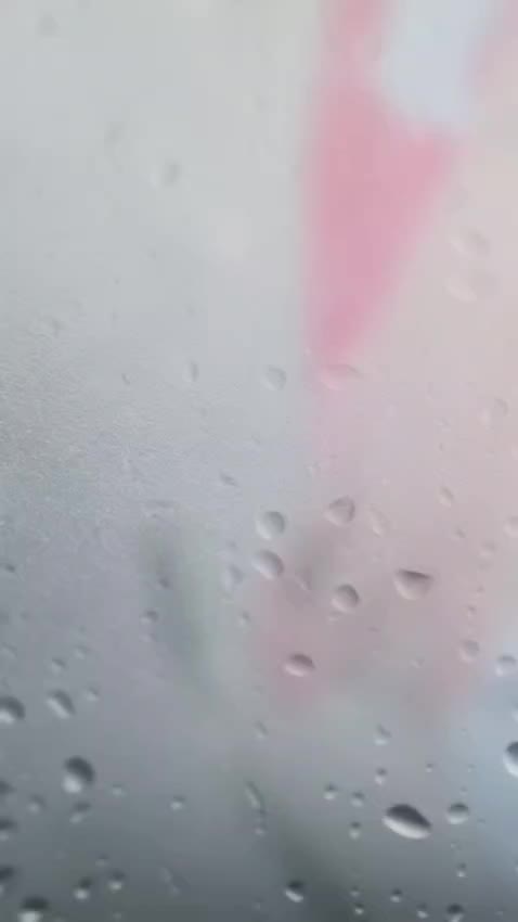 @saddamazmi61.62