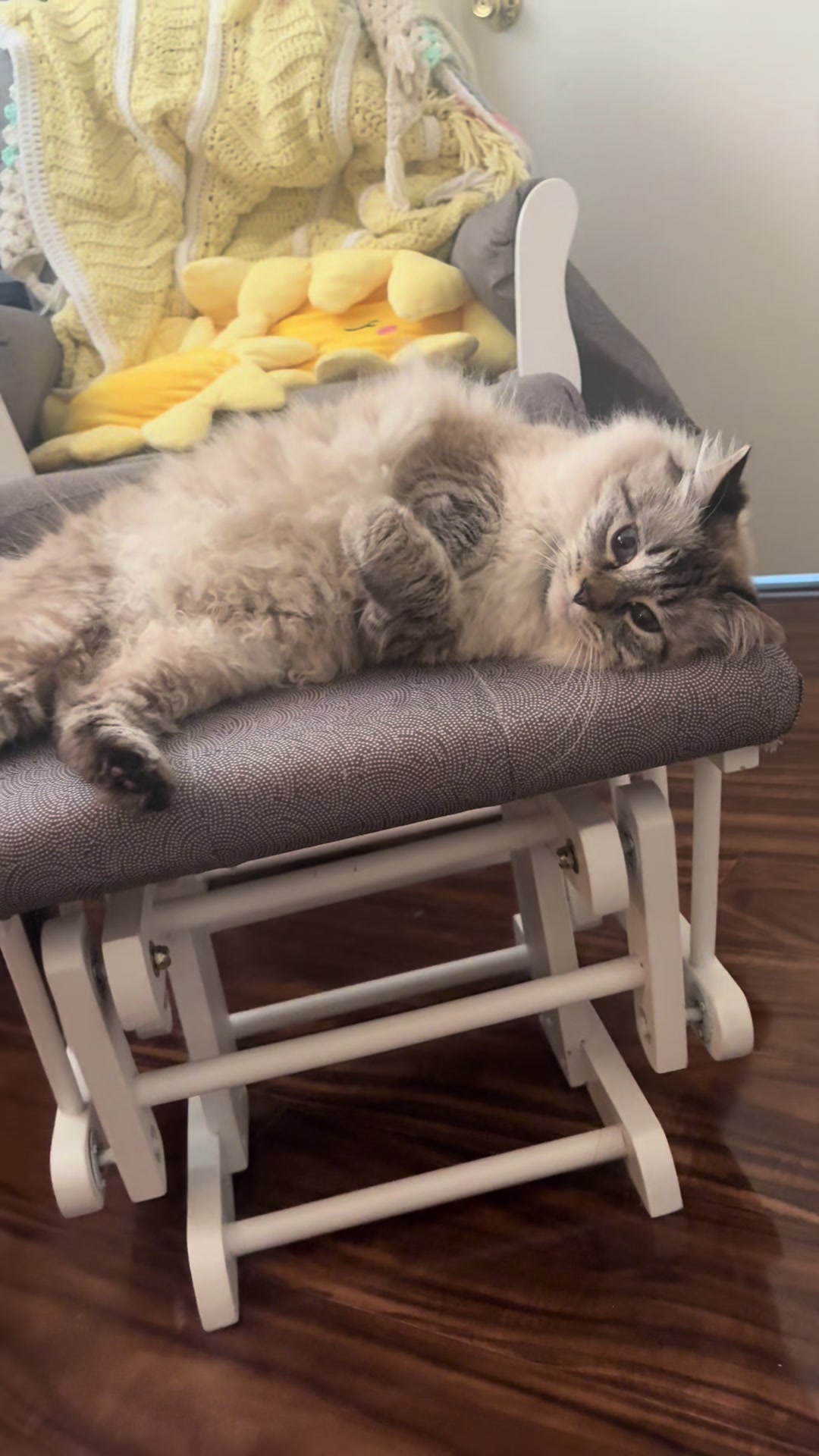 @Brock Meowsnar