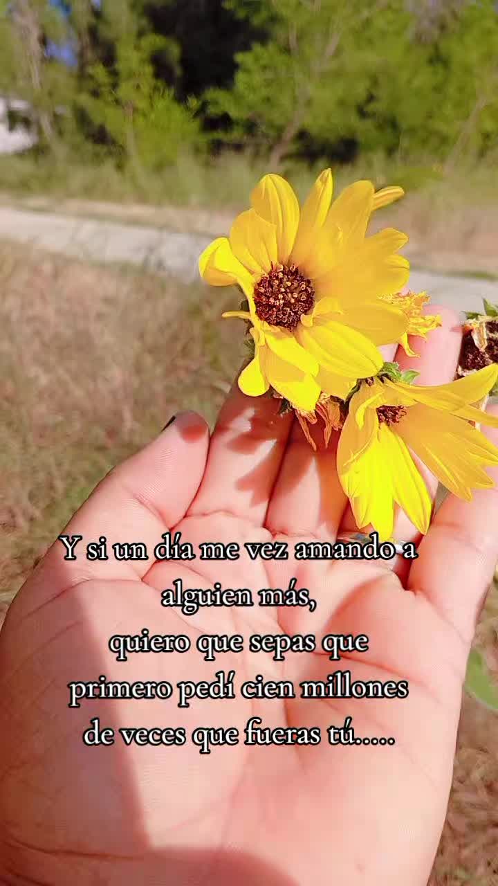 @YULIANA ARIZPE