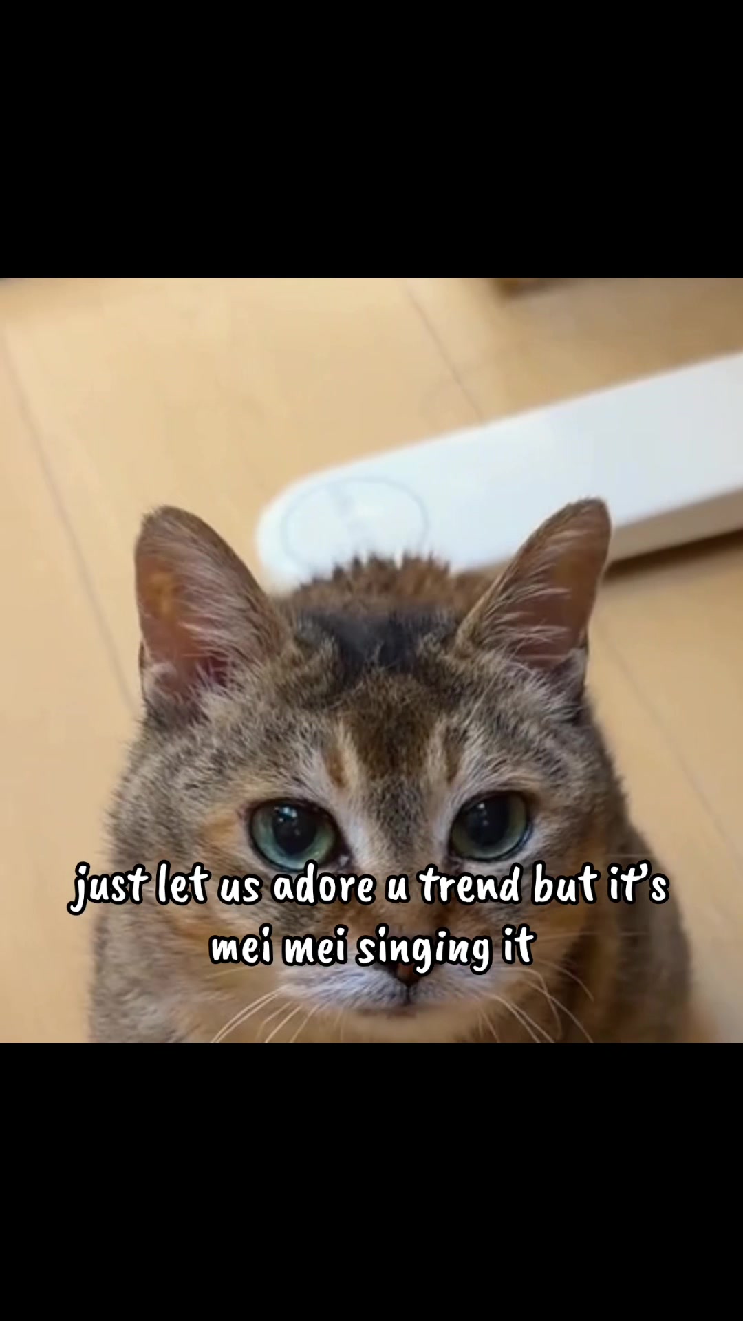 @꒰ঌ ოє𝙞 ოє𝙞⋆.ᶻ𝜗𝜚 ᯓ