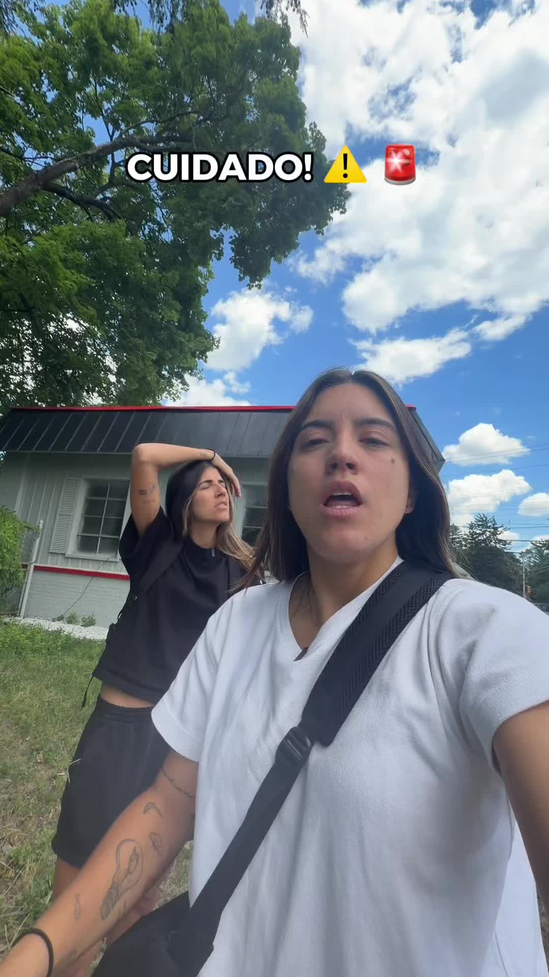 @Carolixas