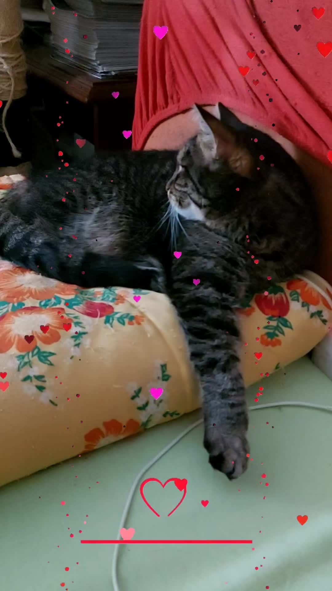 @Hier ist Deku❤️