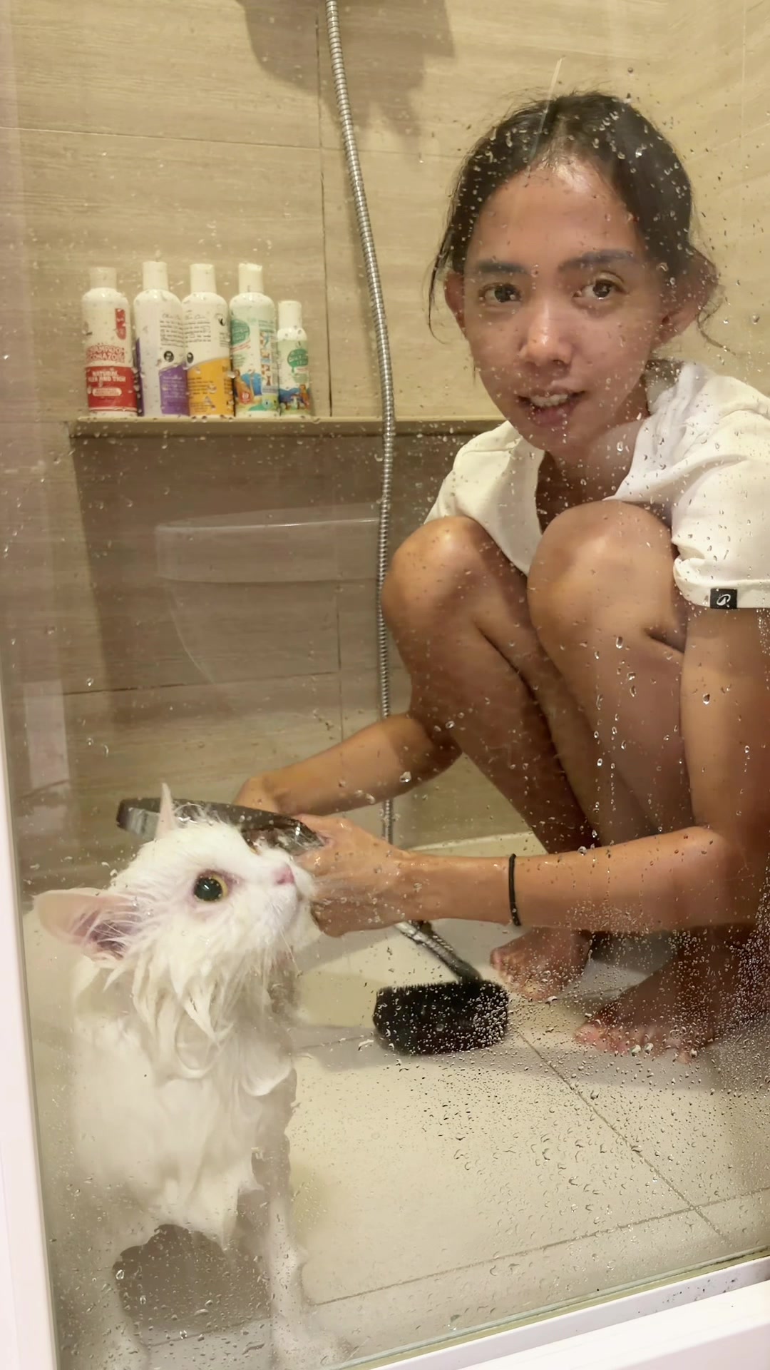 @nekokeikochan