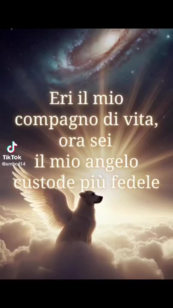@Katia ❤️ 76