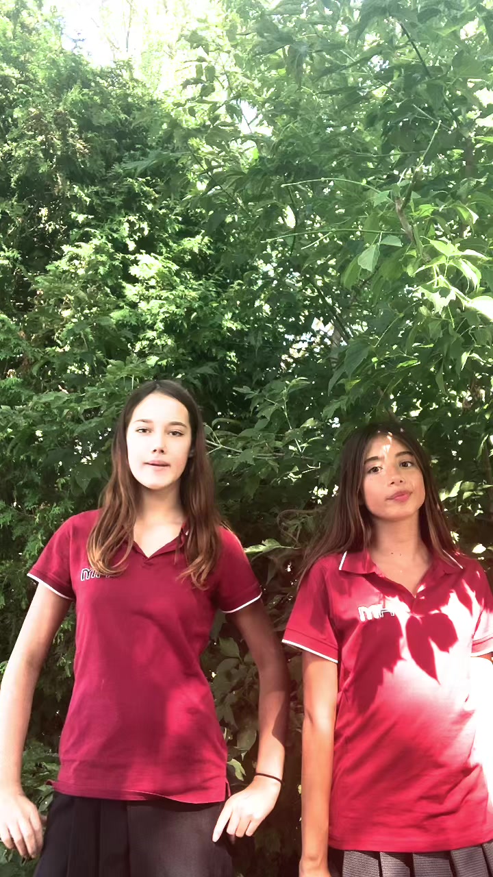 @￴🦈￴Oc&eacute; ᵇᵉ