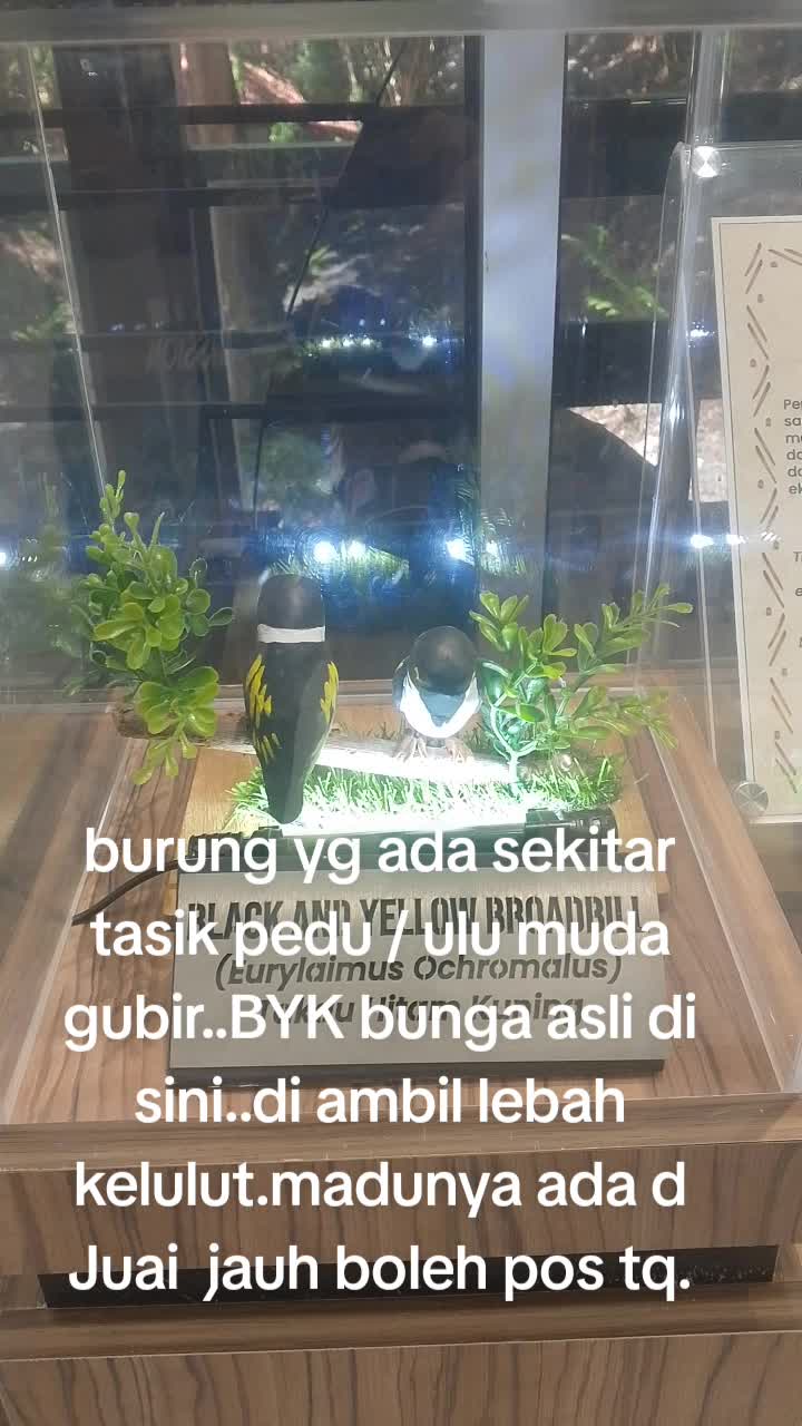 @Wan nasruy