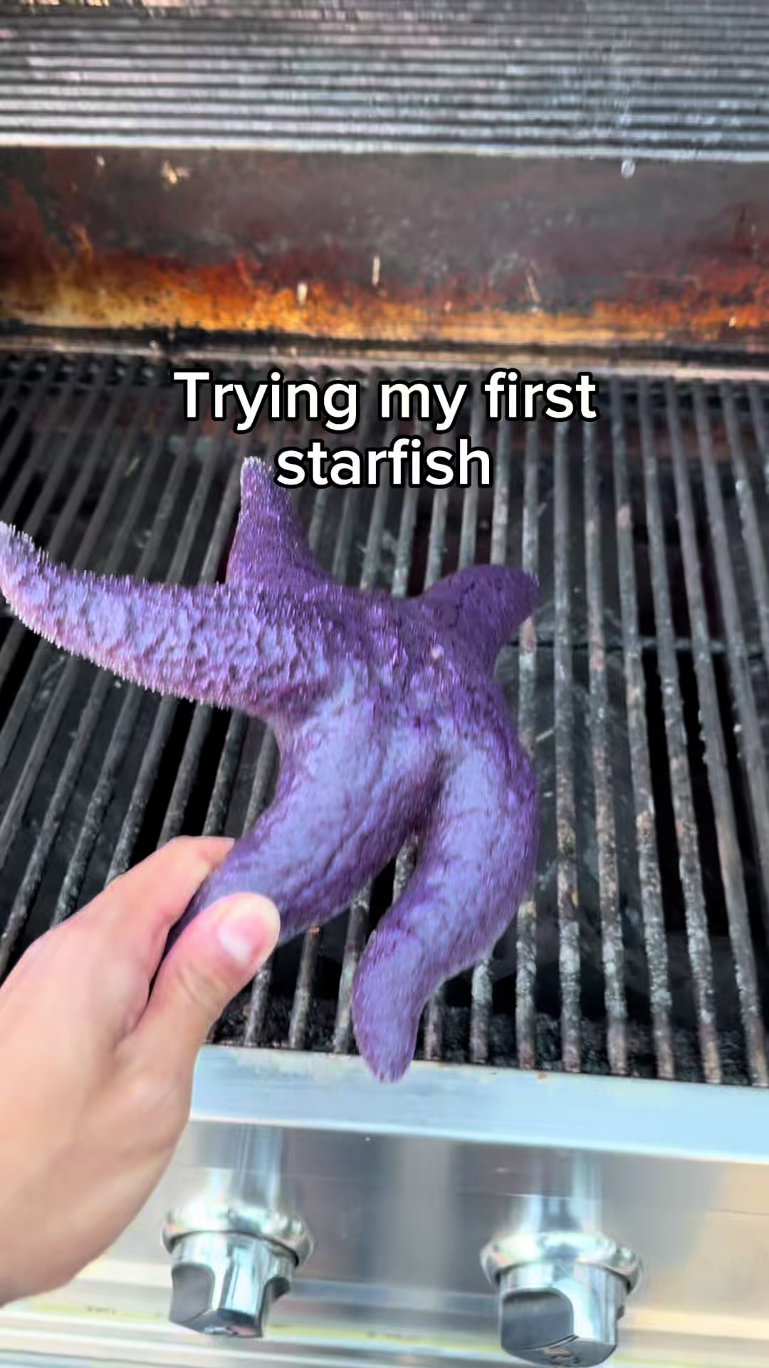 @JP