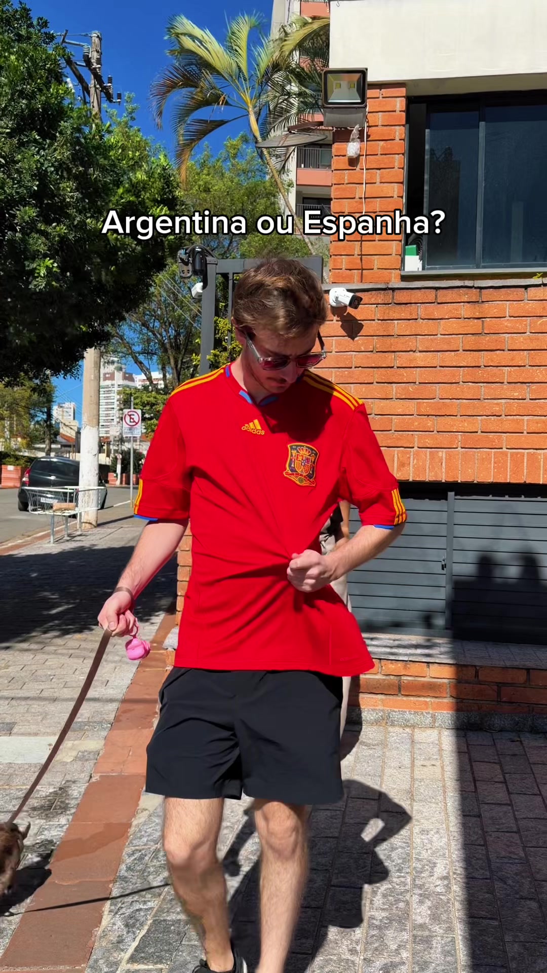 @rita palombo