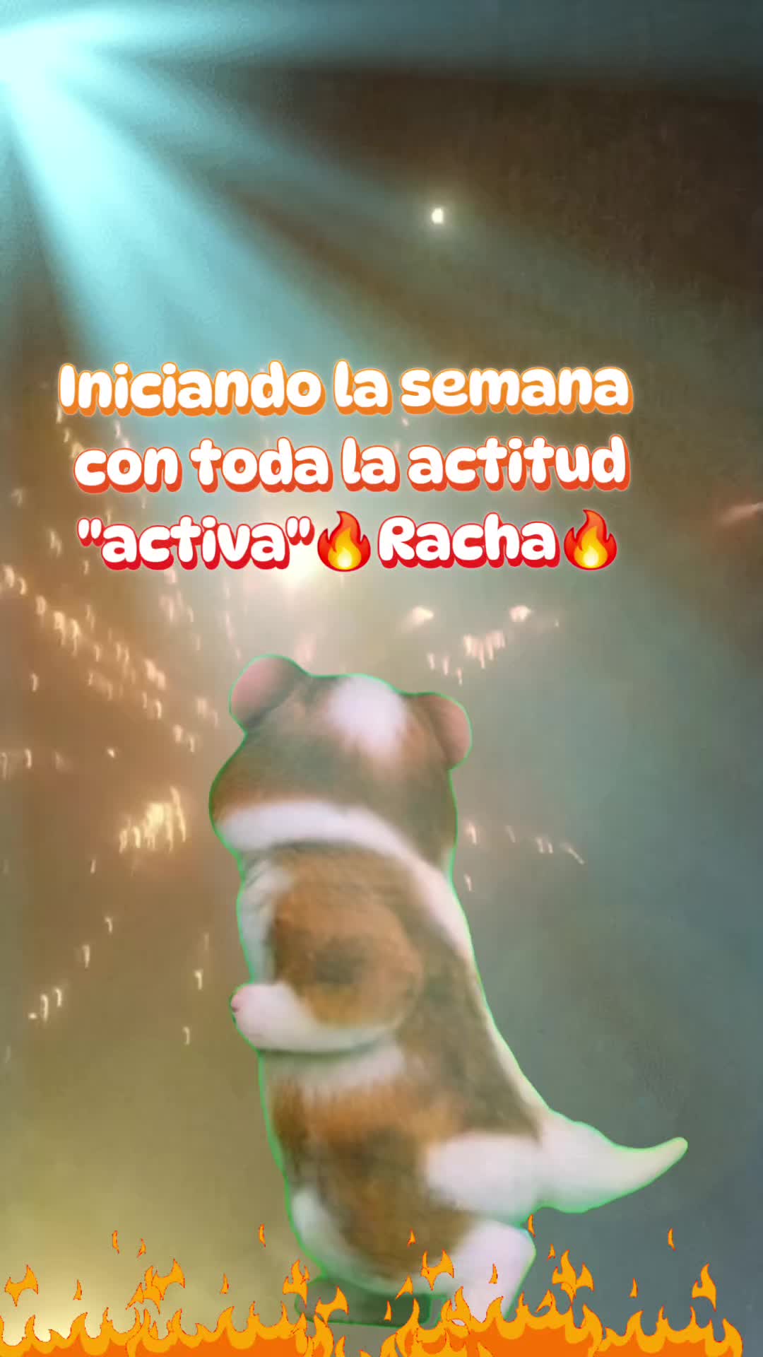 @&diams;️🔟&diams;️Chaparrita🥛🤍