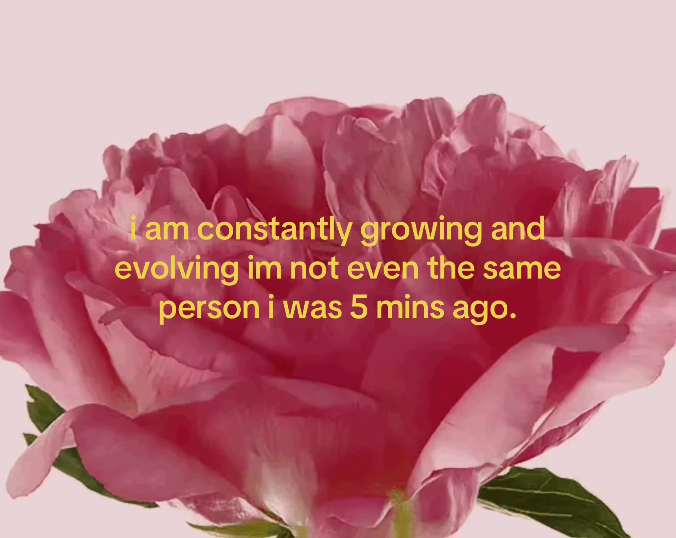 @thatgirl