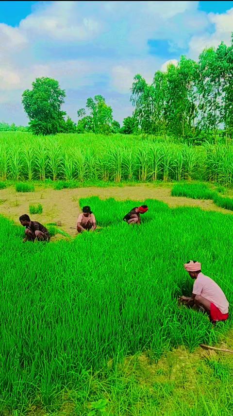 @inrjit12345