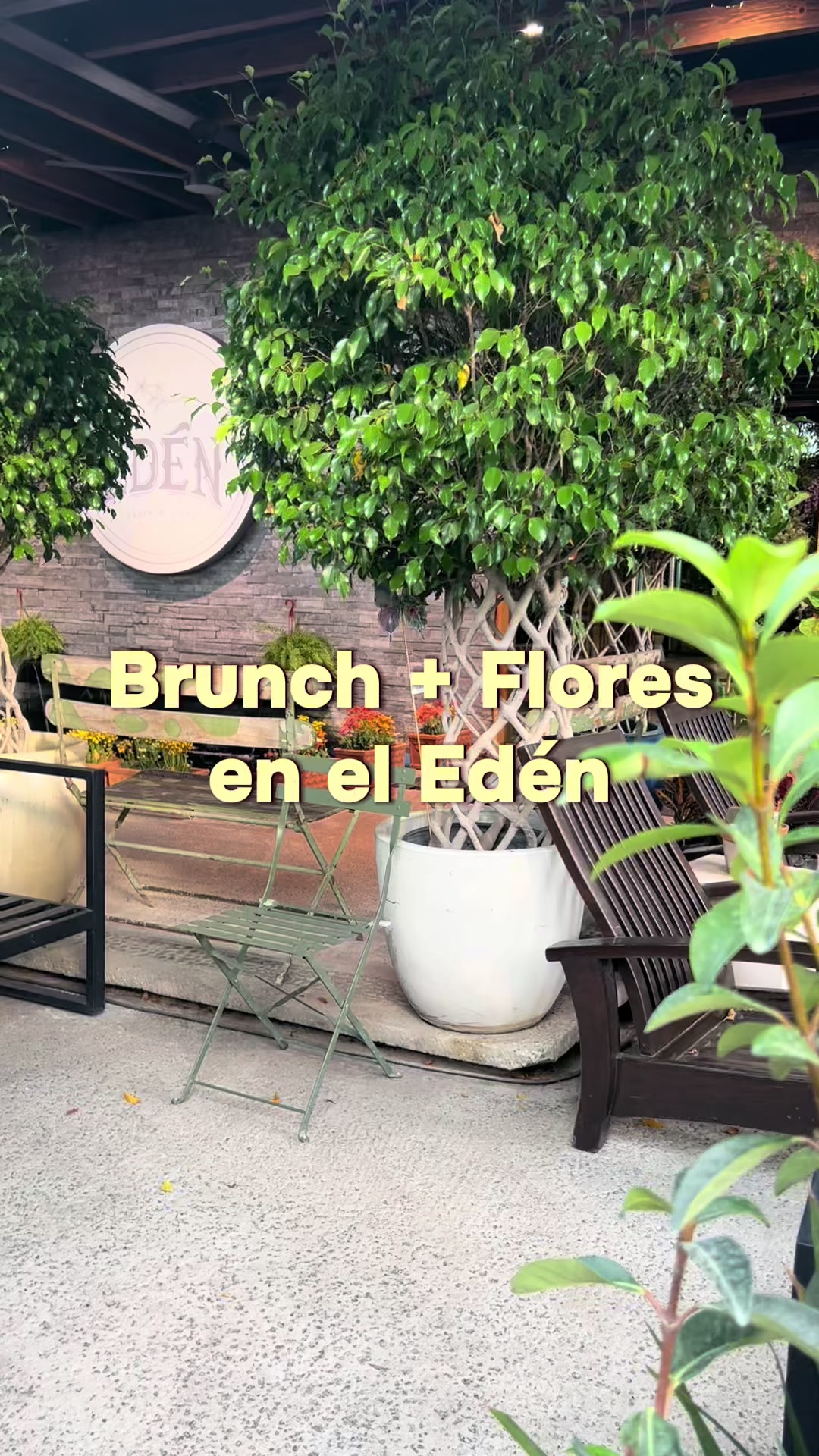 @Edén Flor y Café