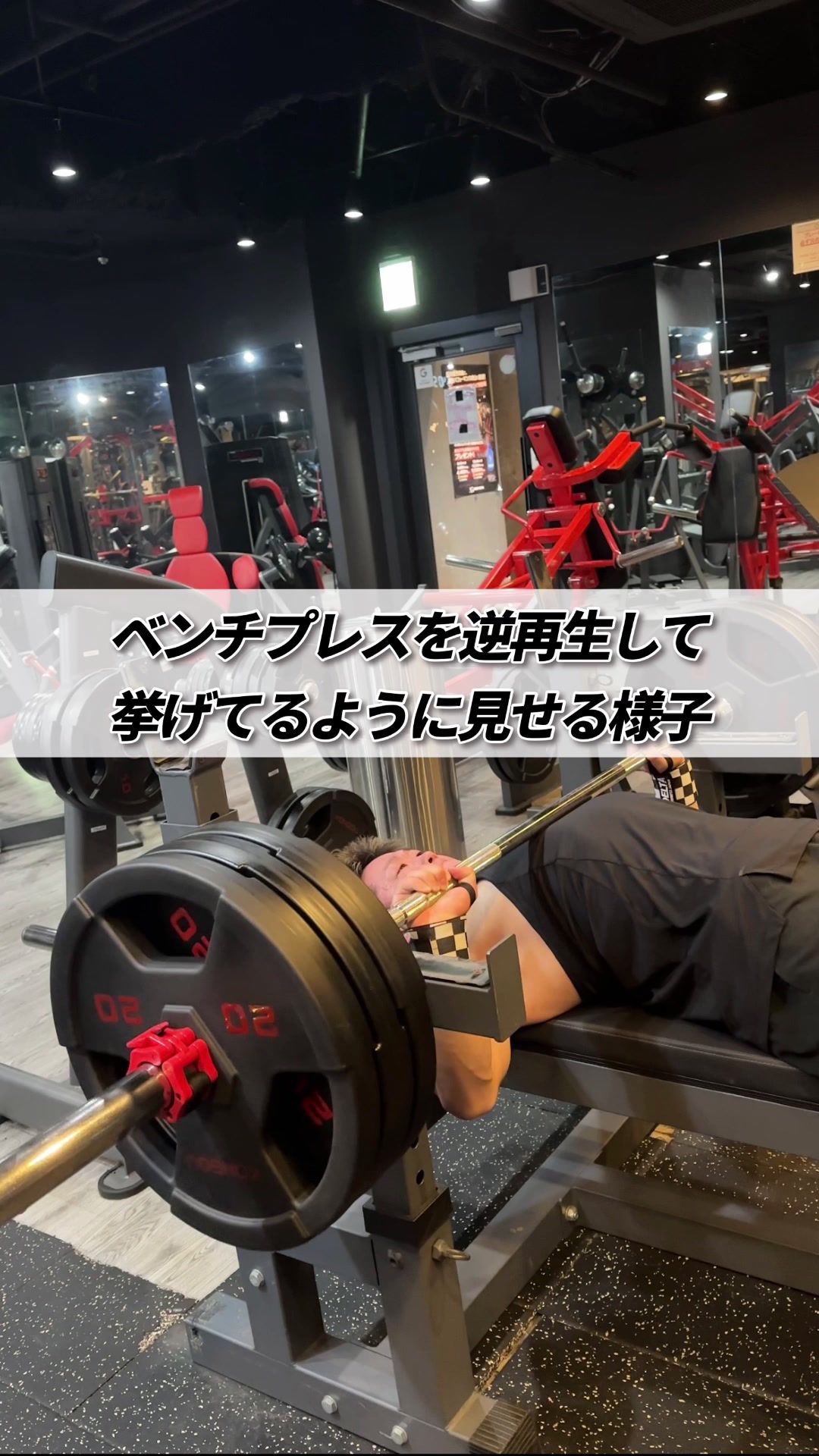@たんぱくとりお