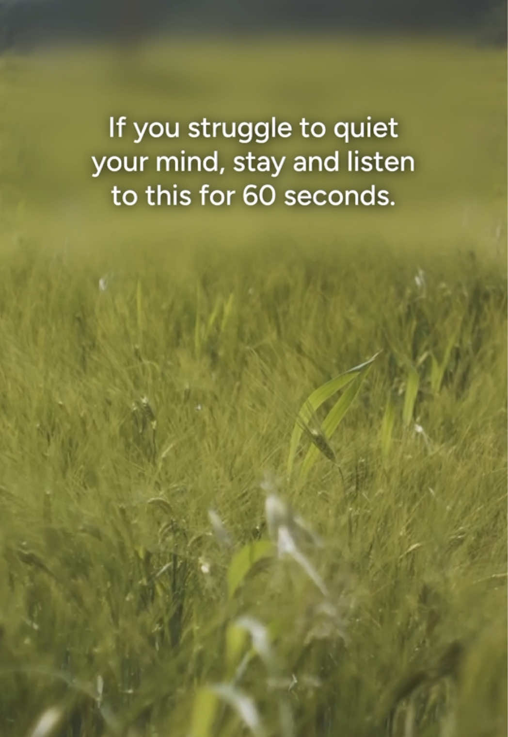@Calm
