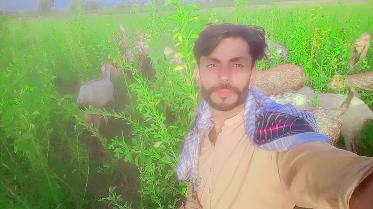 @Malik Rashid