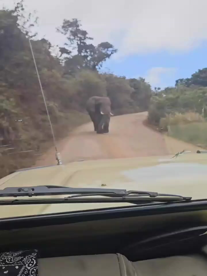 @David_Nature_Africa