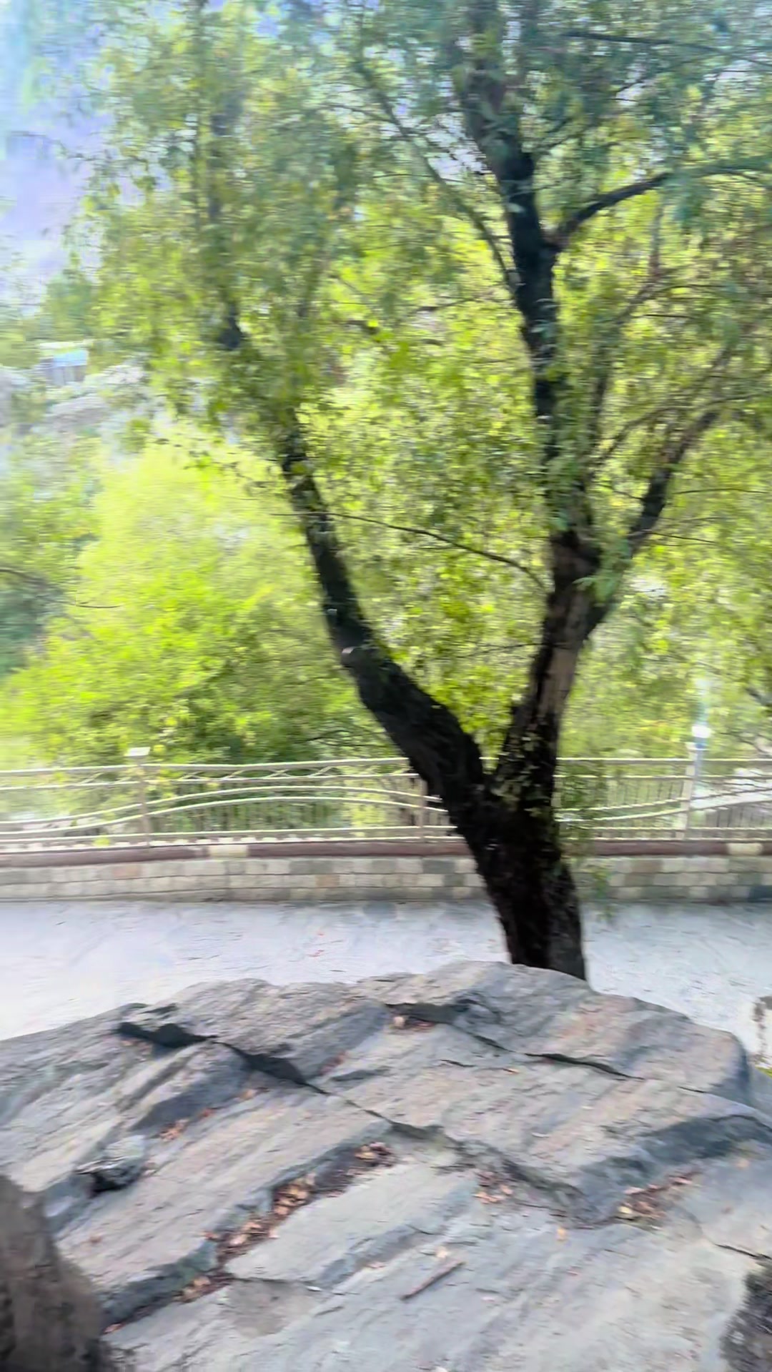 @Hayat Khan