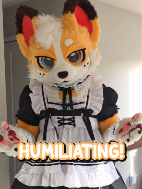 @Corgi