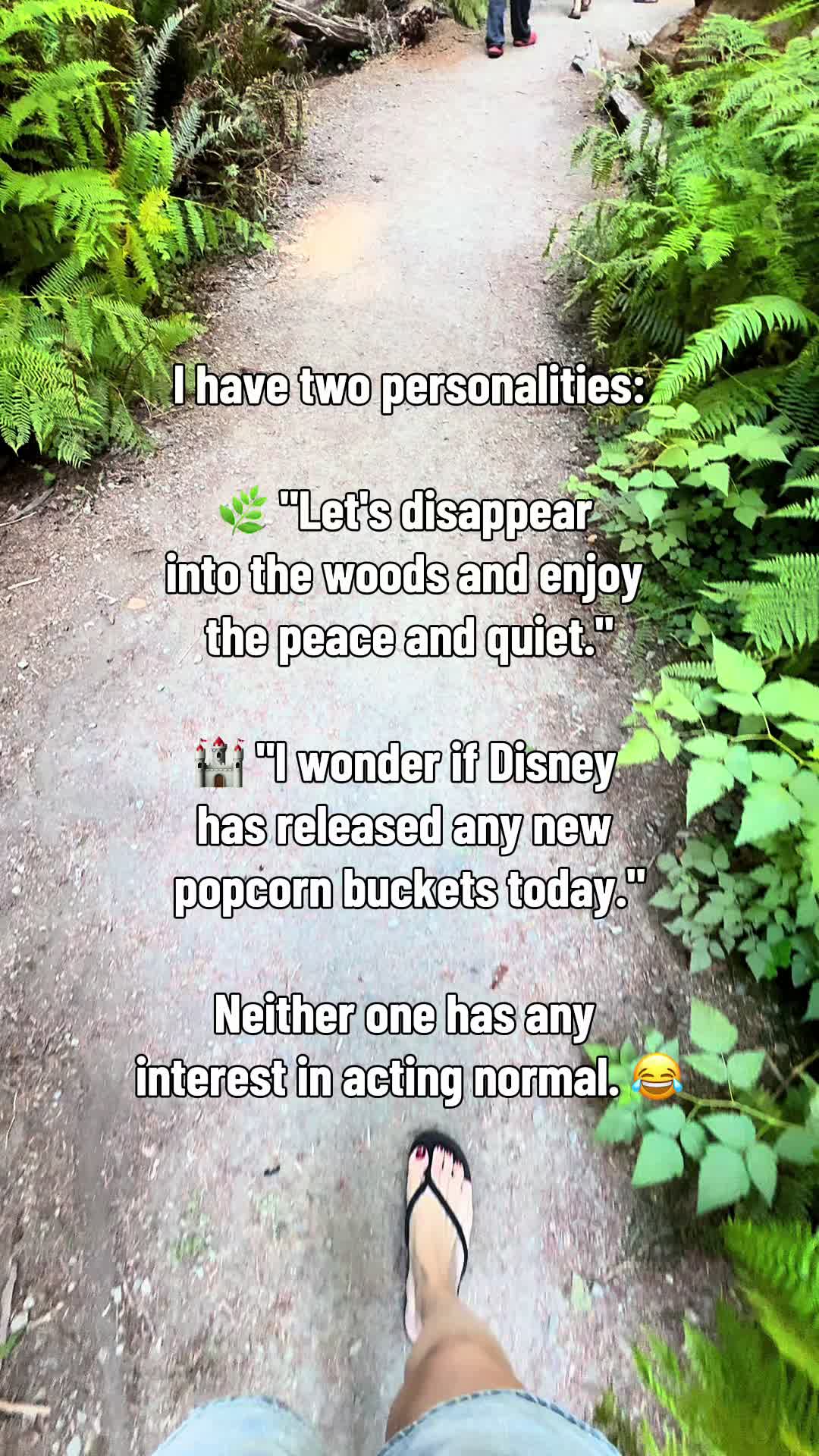 @DisneySarah23