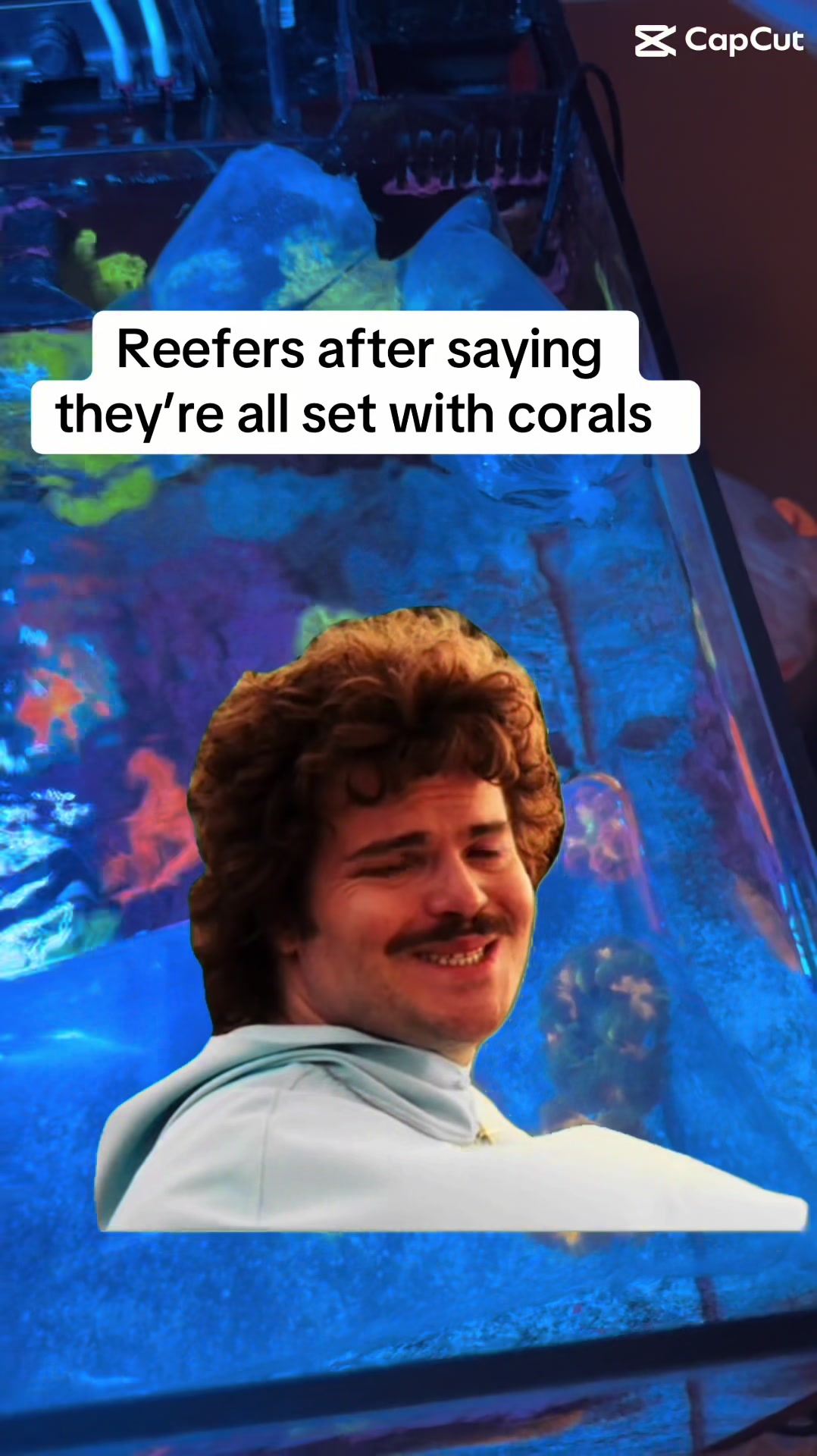 @ReefTok