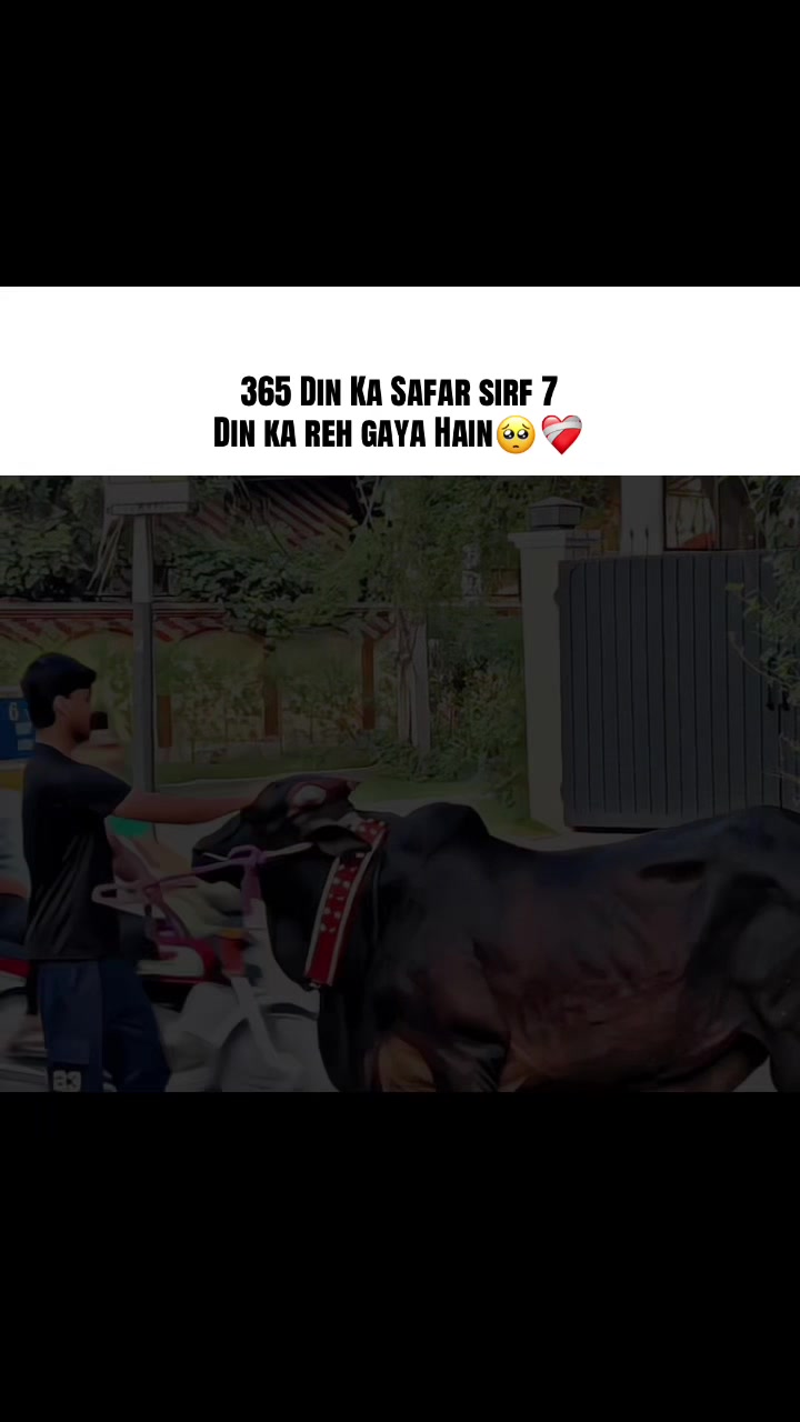 @نبیل اکرم🐺